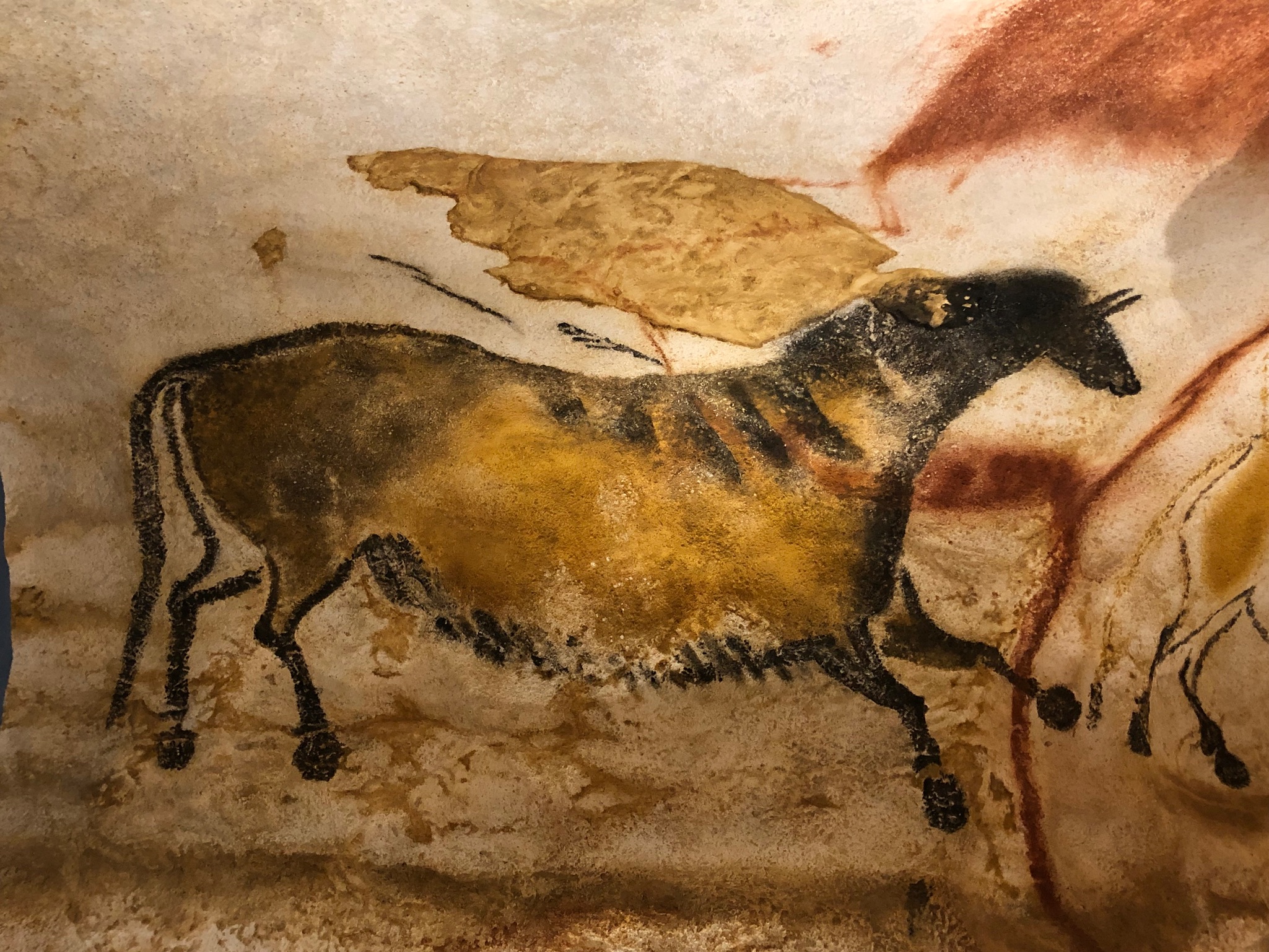 2021 Petite escapade vers la grotte de Lascaux