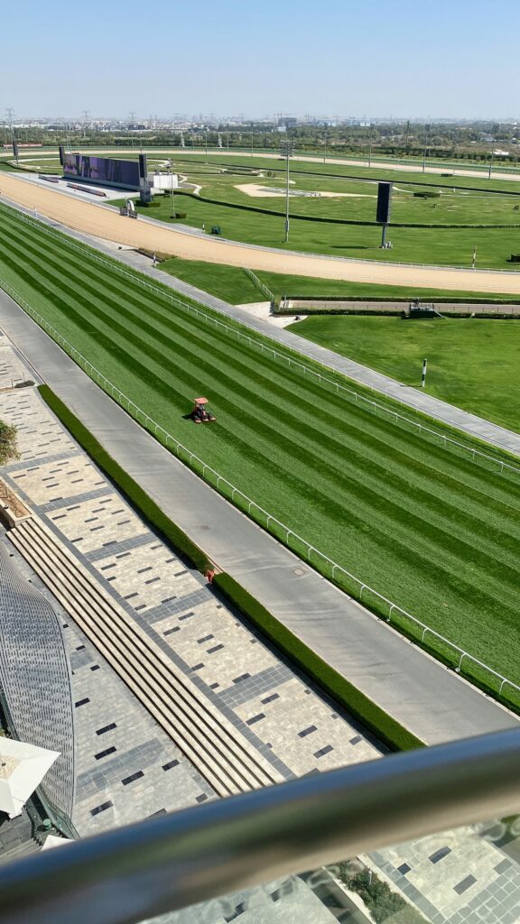 Meydan hotel - vue du balcon