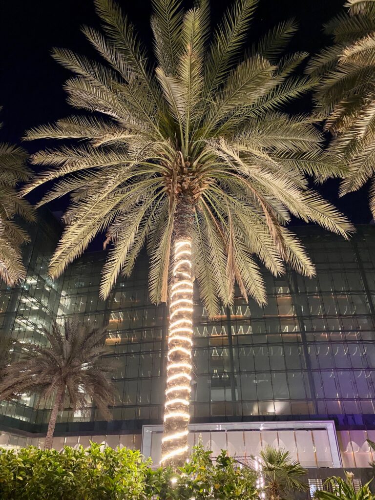 Meydan Hotel by night