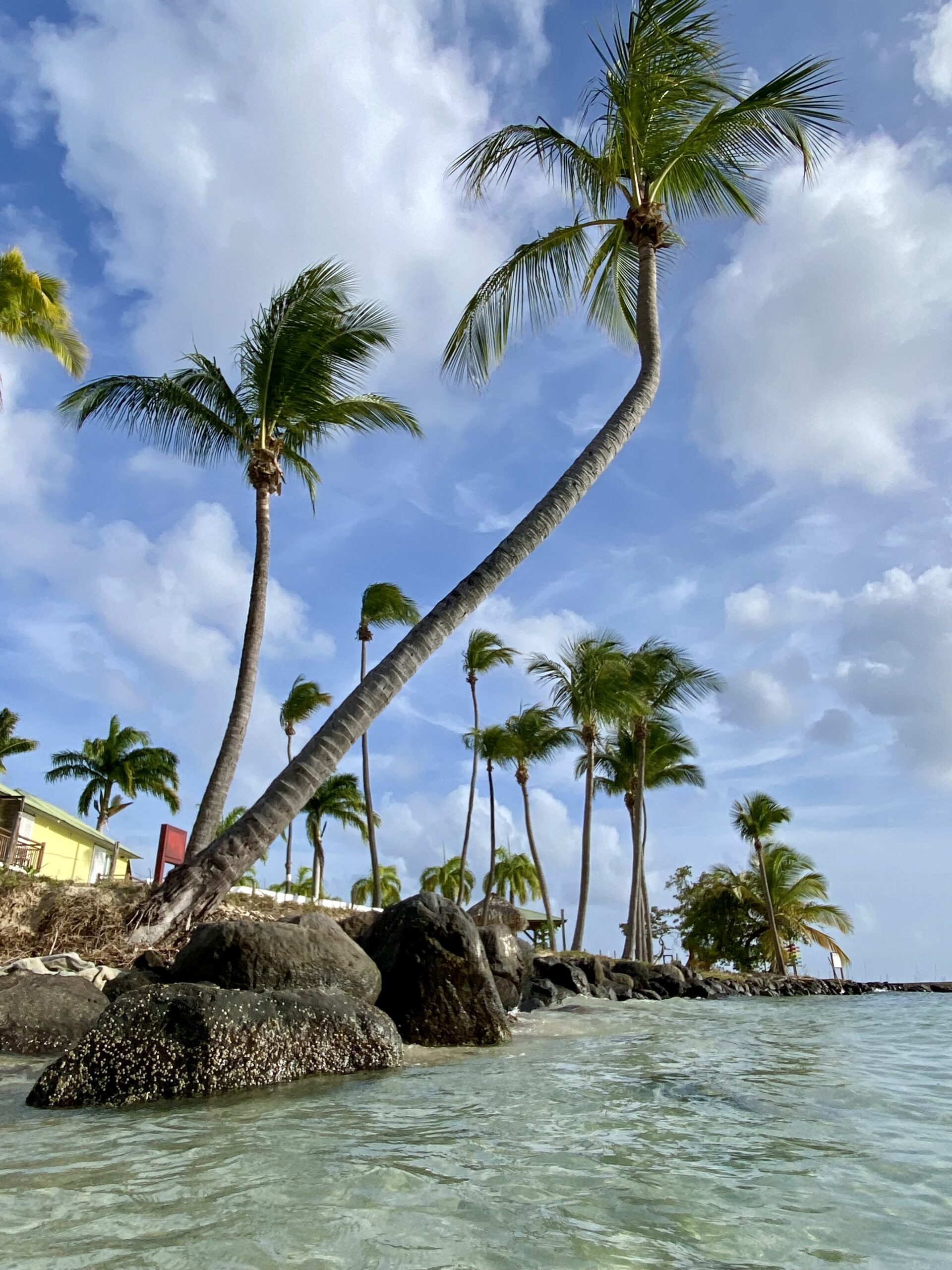 Mars Avril 2023 en Martinique et l’arrivée de nos amis