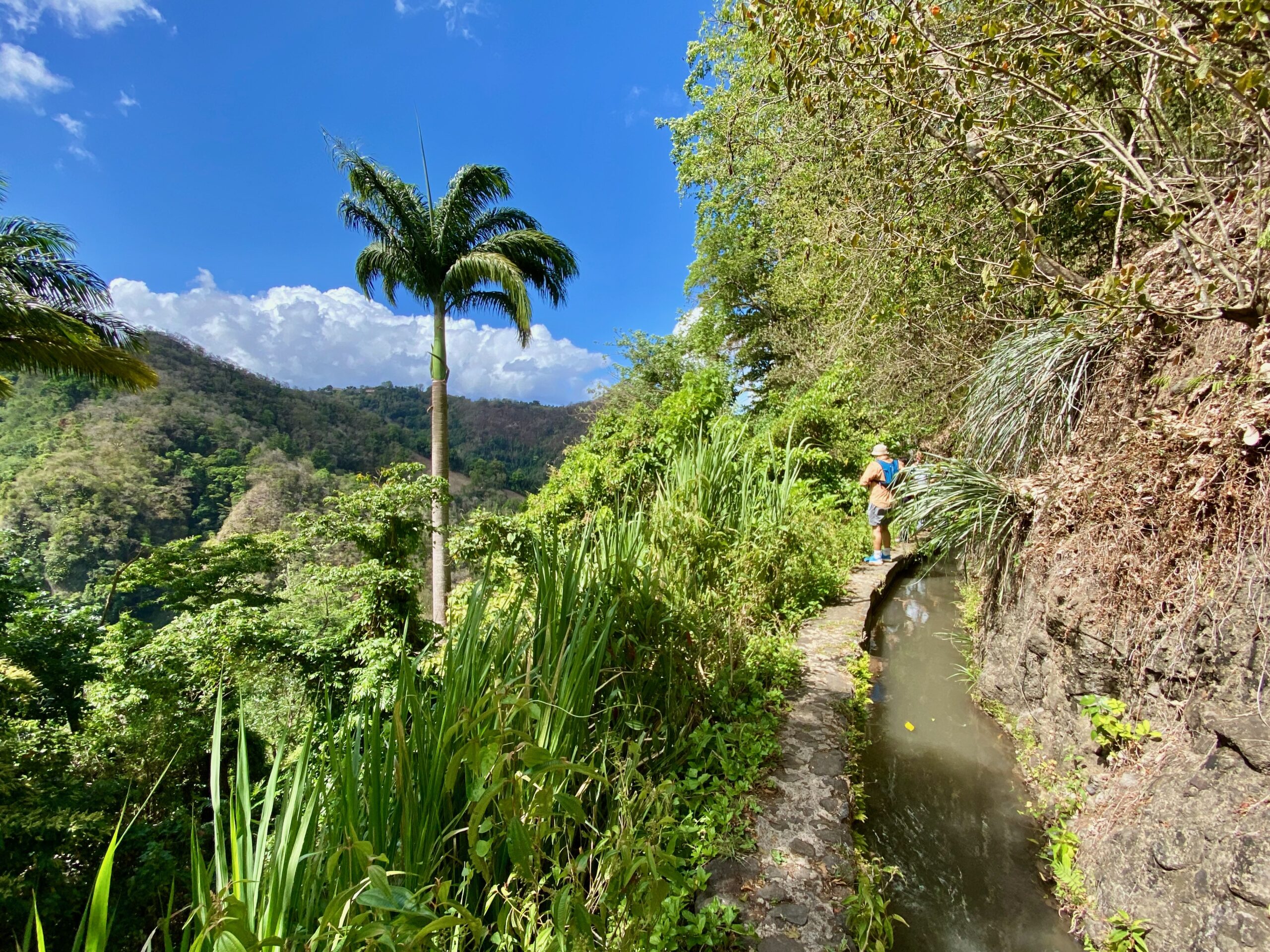 Mai 2023 en Martinique et la jolie randonnée du Canal des Esclaves